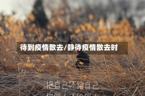 待到疫情散去/静待疫情散去时