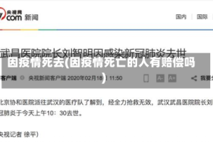 因疫情死去(因疫情死亡的人有赔偿吗)