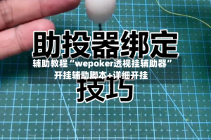 辅助教程“wepoker透视挂辅助器”开挂辅助脚本+详细开挂