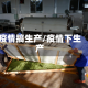 疫情搞生产/疫情下生产