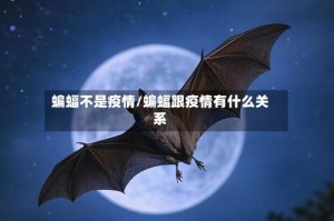 蝙蝠不是疫情/蝙蝠跟疫情有什么关系