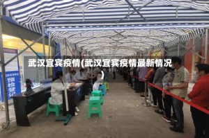 武汉宜宾疫情(武汉宜宾疫情最新情况)