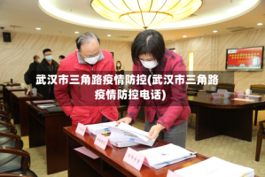 武汉市三角路疫情防控(武汉市三角路疫情防控电话)