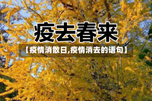 【疫情消散日,疫情消去的语句】