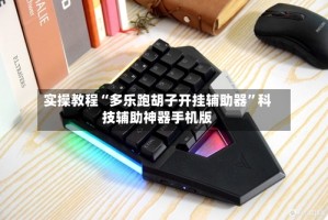 实操教程“多乐跑胡子开挂辅助器”科技辅助神器手机版