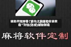 辅助开挂神器“德扑之星辅助安装教程”开挂(透视)辅助教程