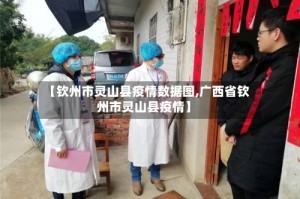 【钦州市灵山县疫情数据图,广西省钦州市灵山县疫情】