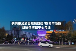 鹤岗市汤原县疫情防控/鹤岗市汤原县疫情防控中心电话