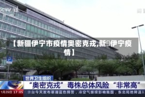 【新疆伊宁市疫情奥密克戎,新彊伊宁疫情】