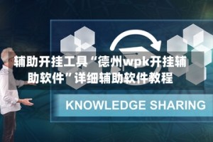 辅助开挂工具“德州wpk开挂辅助软件”详细辅助软件教程