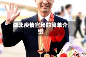 湖北疫情官场的简单介绍