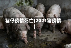 猪仔疫情死亡(2021猪疫情)