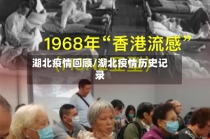 湖北疫情回顾/湖北疫情历史记录