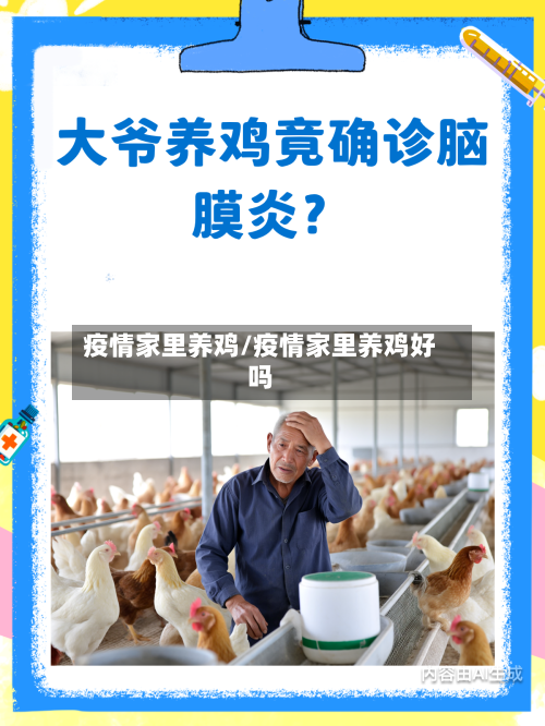 疫情家里养鸡/疫情家里养鸡好吗-第1张图片