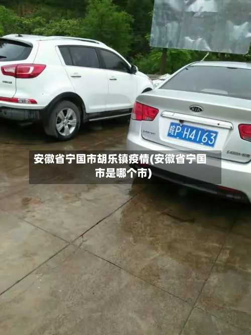 安徽省宁国市胡乐镇疫情(安徽省宁国市是哪个市)-第3张图片