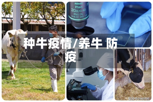 种牛疫情/养牛 防疫-第2张图片