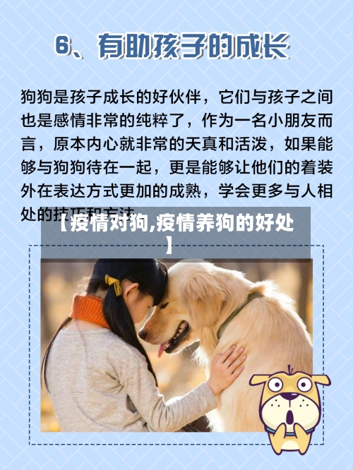 【疫情对狗,疫情养狗的好处】-第1张图片