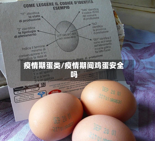 疫情期蛋类/疫情期间鸡蛋安全吗-第1张图片