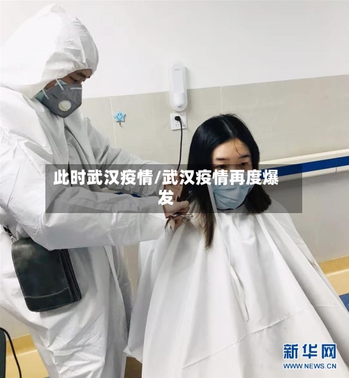 此时武汉疫情/武汉疫情再度爆发-第2张图片