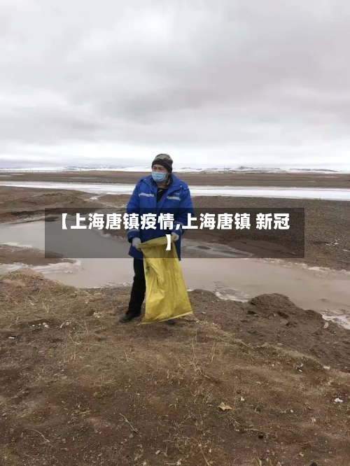 【上海唐镇疫情,上海唐镇 新冠】-第2张图片