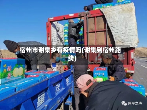 宿州市谢集乡有疫情吗(谢集到宿州路线)-第2张图片