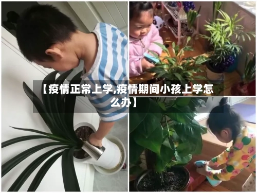 【疫情正常上学,疫情期间小孩上学怎么办】-第2张图片