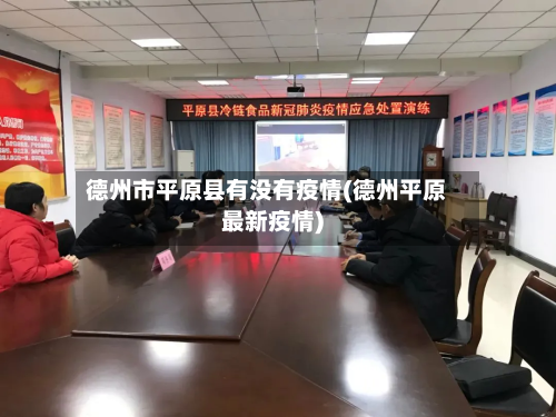 德州市平原县有没有疫情(德州平原最新疫情)-第3张图片
