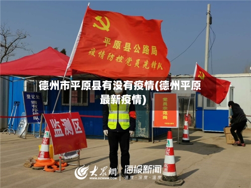 德州市平原县有没有疫情(德州平原最新疫情)-第2张图片