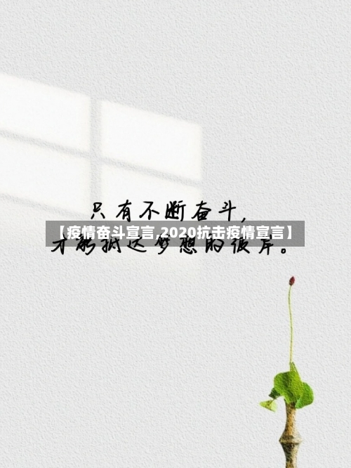 【疫情奋斗宣言,2020抗击疫情宣言】-第2张图片