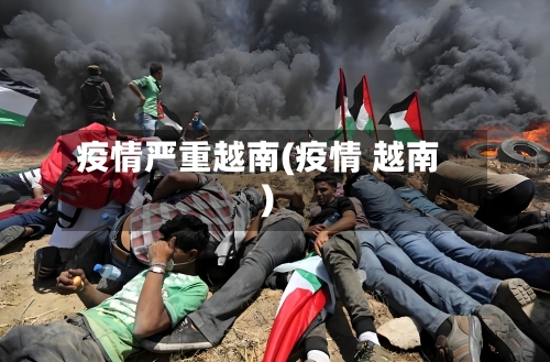 疫情严重越南(疫情 越南)-第2张图片