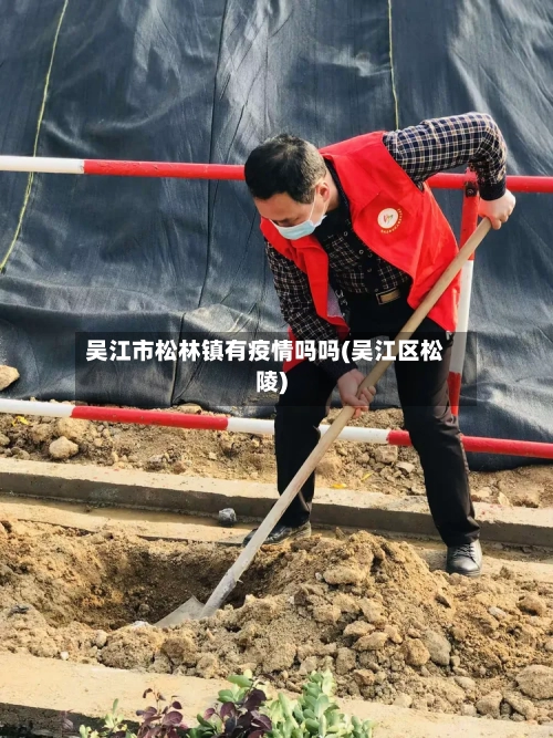 吴江市松林镇有疫情吗吗(吴江区松陵)-第2张图片