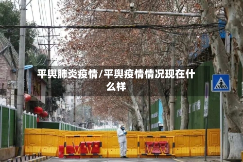 平舆肺炎疫情/平舆疫情情况现在什么样-第1张图片