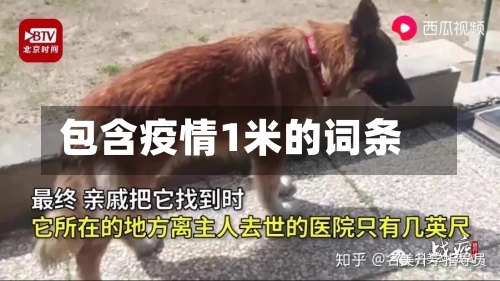 包含疫情1米的词条-第1张图片
