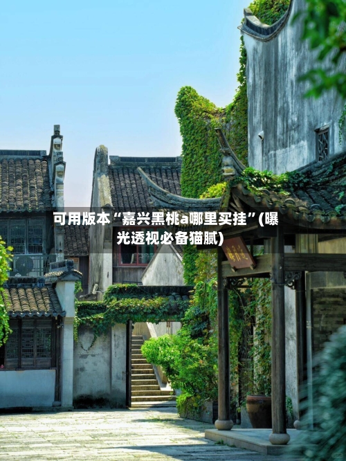 可用版本“嘉兴黑桃a哪里买挂”(曝光透视必备猫腻)-第2张图片