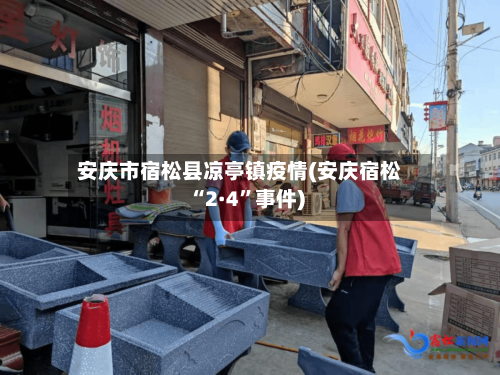 安庆市宿松县凉亭镇疫情(安庆宿松“2·4	”事件)-第2张图片