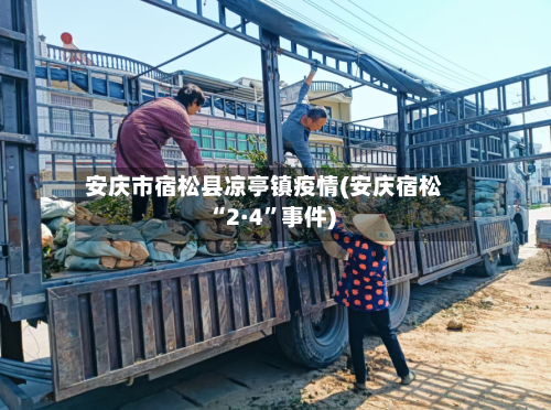 安庆市宿松县凉亭镇疫情(安庆宿松“2·4”事件)-第1张图片