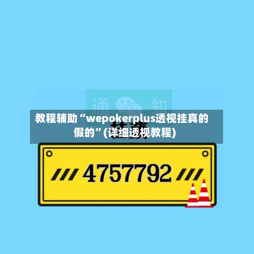教程辅助“wepokerplus透视挂真的假的”(详细透视教程)-第3张图片
