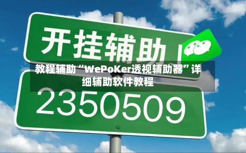 教程辅助“WePoKer透视辅助器”详细辅助软件教程-第3张图片
