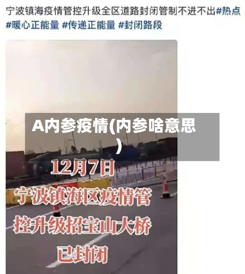 A内参疫情(内参啥意思)-第3张图片