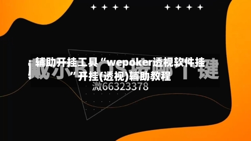 辅助开挂工具“wepoker透视软件挂”开挂(透视)辅助教程-第1张图片