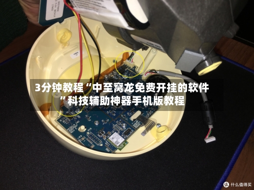 3分钟教程“中至窝龙免费开挂的软件”科技辅助神器手机版教程-第1张图片