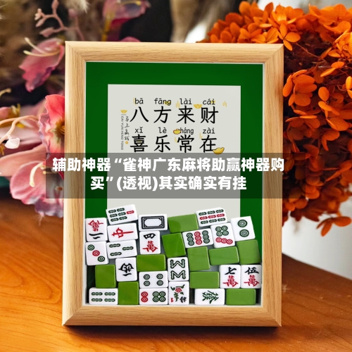 辅助神器“雀神广东麻将助赢神器购买”(透视)其实确实有挂-第2张图片