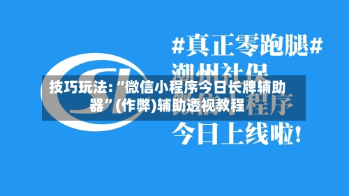 技巧玩法:“微信小程序今日长牌辅助器”(作弊)辅助透视教程-第3张图片