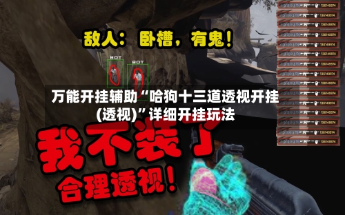 万能开挂辅助“哈狗十三道透视开挂(透视)	”详细开挂玩法-第2张图片