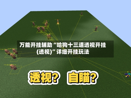 万能开挂辅助“哈狗十三道透视开挂(透视)”详细开挂玩法-第3张图片