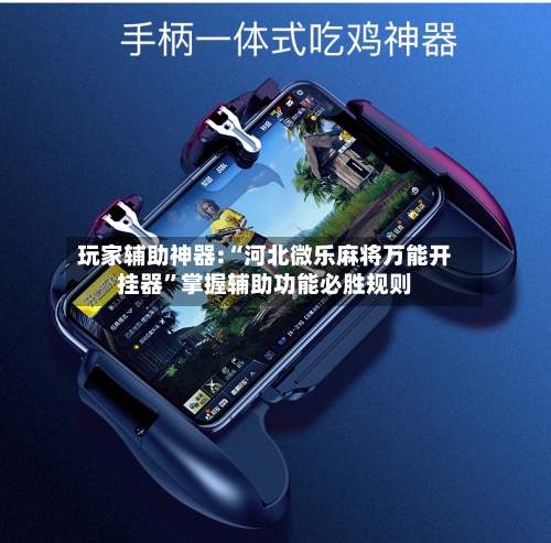 玩家辅助神器:“河北微乐麻将万能开挂器”掌握辅助功能必胜规则-第1张图片