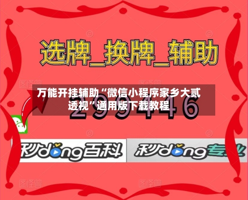 万能开挂辅助“微信小程序家乡大贰透视”通用版下载教程-第1张图片