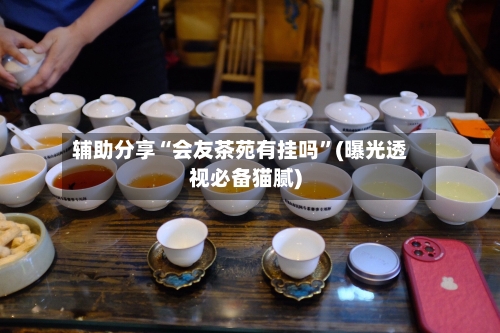 辅助分享“会友茶苑有挂吗”(曝光透视必备猫腻)-第1张图片