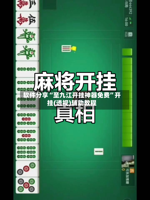 软件分享“至九江开挂神器免费”开挂(透视)辅助教程-第3张图片