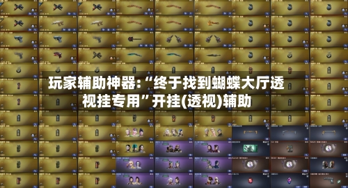 玩家辅助神器:“终于找到蝴蝶大厅透视挂专用”开挂(透视)辅助-第1张图片